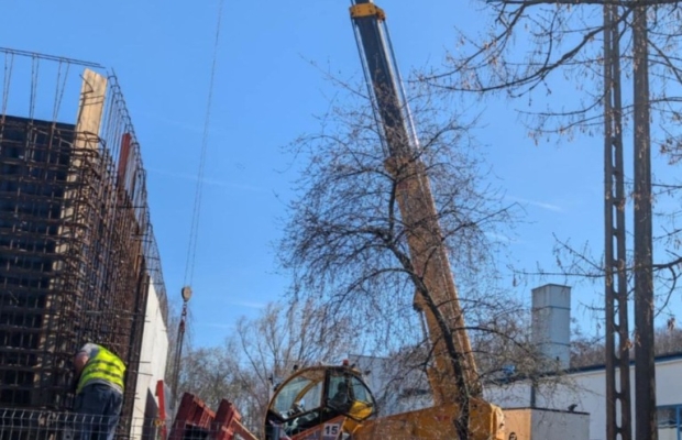 Wynajem ładowarek teleskopowych DIECI ładowarka teleskopowa