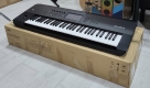 Korg Pa5X, Korg Pa4X, Korg Pa4X MG2 Edition, Korg NAUTILUS, Korg Pa1000 MG Edition, Korg PA-1000, Yamaha Genos2 76-key