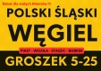 PROMOCJA POLSKI ŚLASKI WĘGIEL - GROSZEK - DARMOWA DOSTAWA