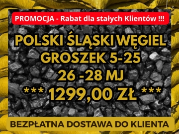 PROMOCJA POLSKI ŚLASKI WĘGIEL - GROSZEK - DARMOWA DOSTAWA